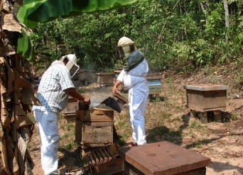 Cozoyoapan, Xochitlahuaca, Guerrero_Apicultores 2