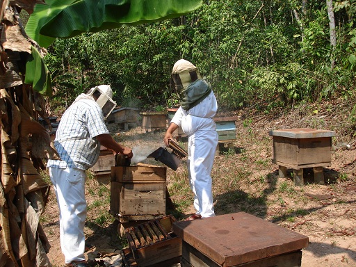 Cozoyoapan, Xochitlahuaca, Guerrero_Apicultores 2