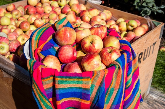 PROPIEDADES DE LAS MANZANAS